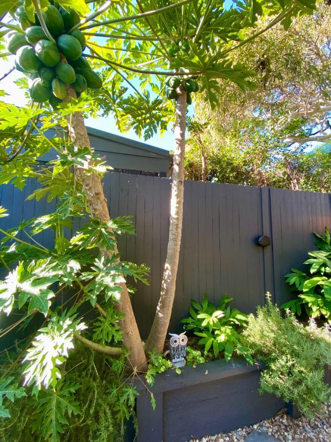 Apartamento The Mitchell Bondi Garden 4 Sídney Exterior foto
